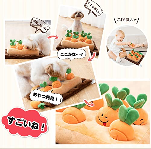 にんじん畑 5