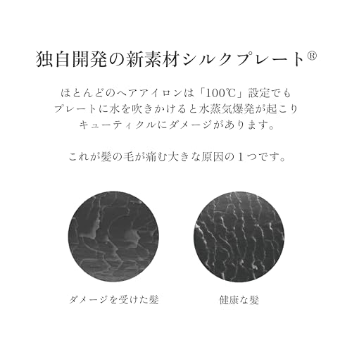spin & curl シンプルモデル 6