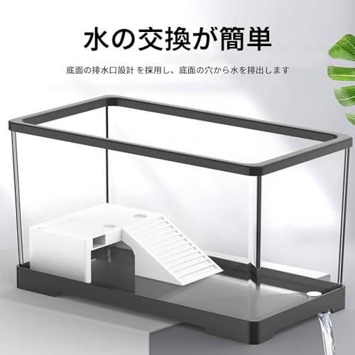 水槽 2