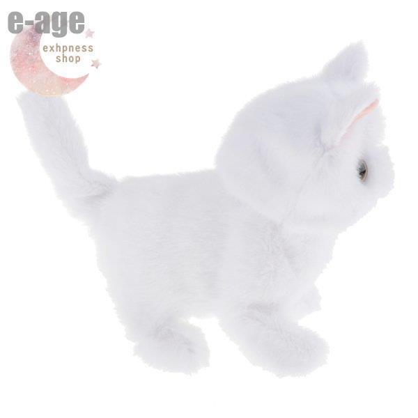 01ccd465fac6081400b00f91ee4e6d