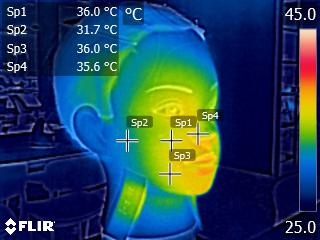 N\C スチーマー美顔器 ZJ-6280を検証レビュー！フェイススチーマー