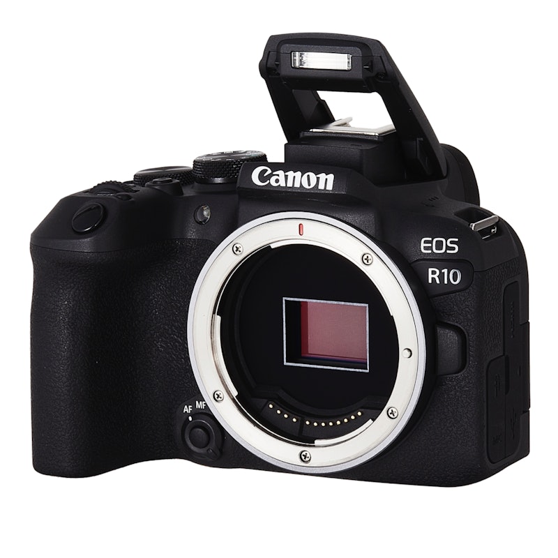 22年11月 デジタル一眼のおすすめ人気ランキング19選 徹底比較 Mybest 22年11月 デジタル一眼のおすすめ人気ランキング19選 徹底比較 Mybest