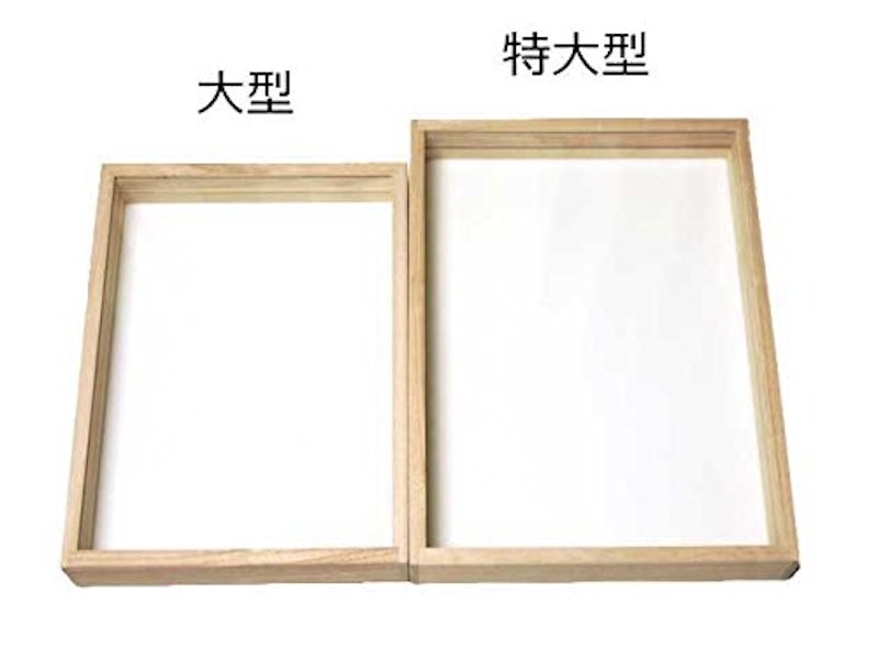 insectech 桐製ガラス蓋標本箱 5