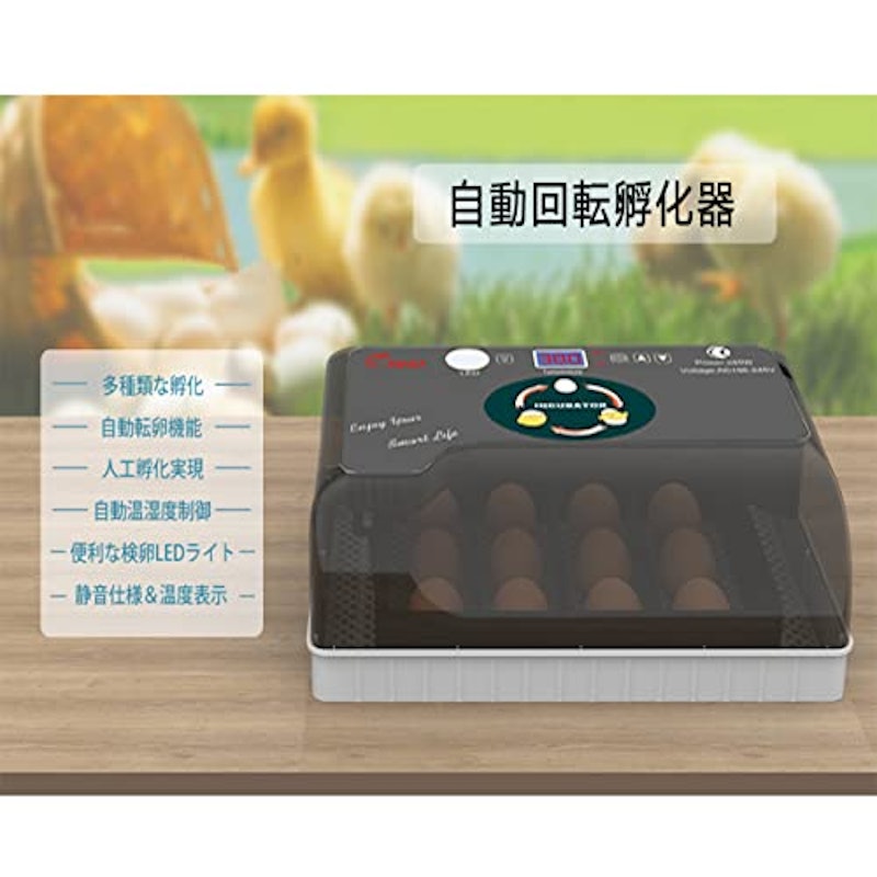 自動孵卵器 2
