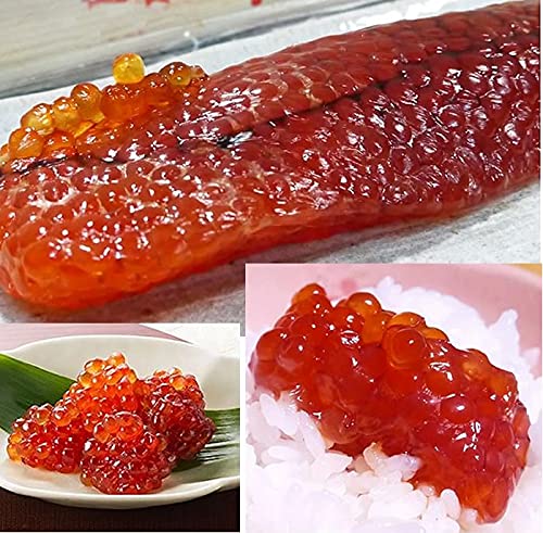 訳あり醤油漬け鱒子2kg たっぷり 筋子 すじこ ますこ 魚卵 いくら イクラ 訳あり醤油漬け鱒子2kg たっぷり 筋子 すじこ ますこ 魚卵