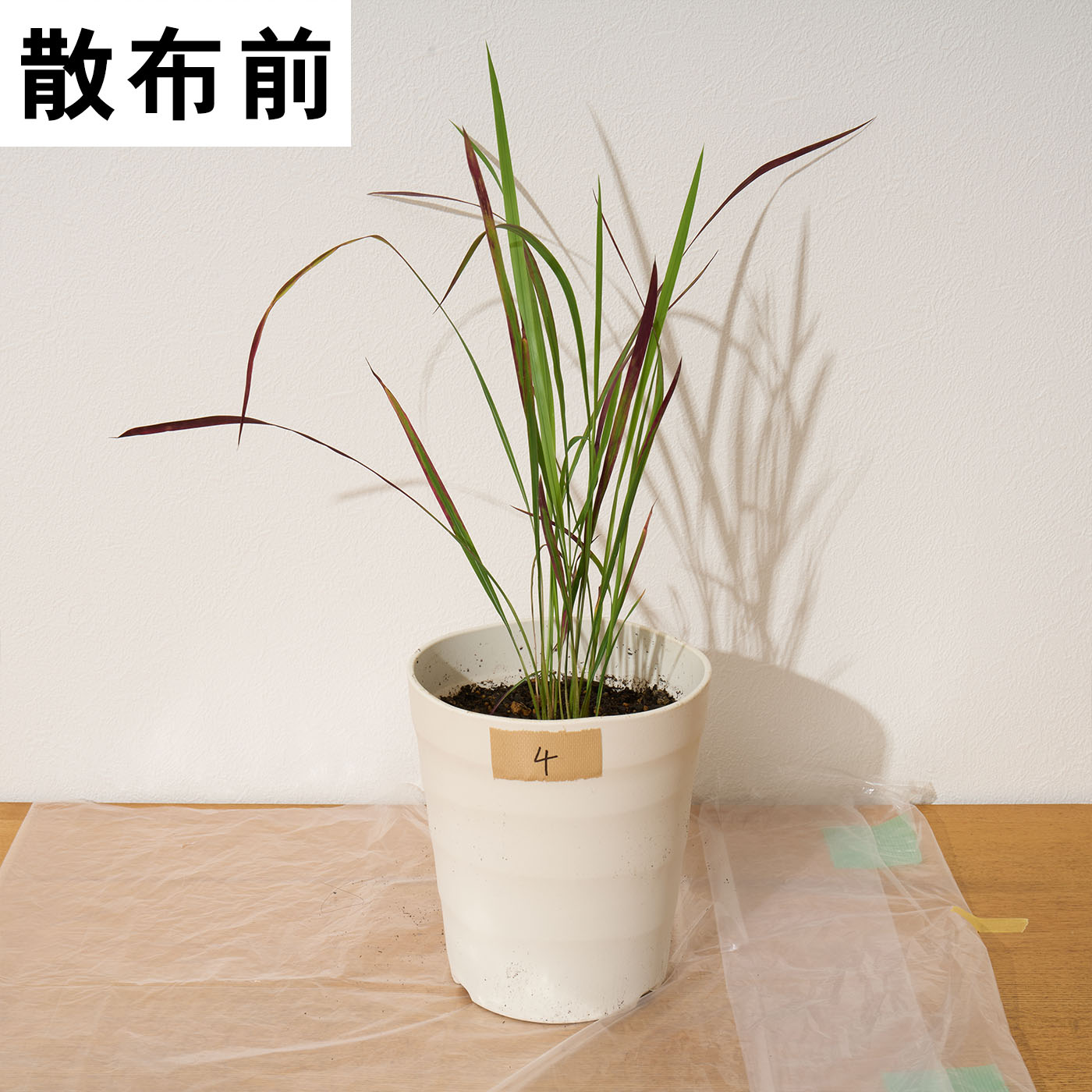 バスタ液剤 14
