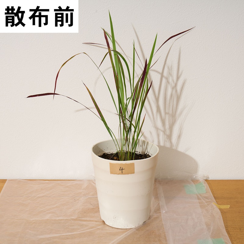 バスタ液剤 14
