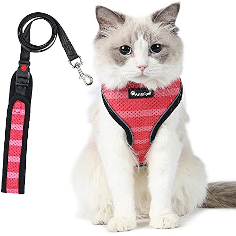猫用 ハーネス 1