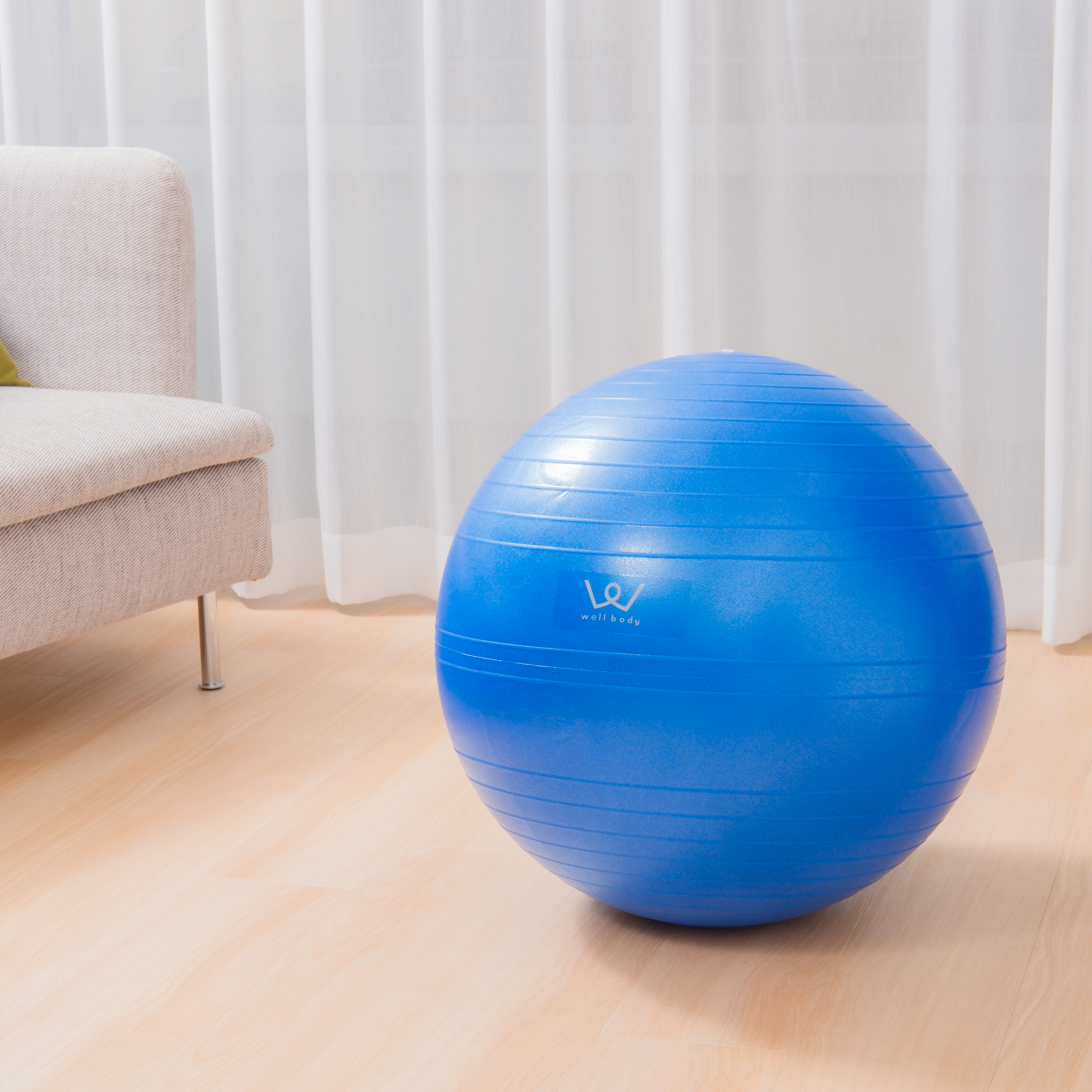 アルインコ エクササイズボール 65cmを全29商品と比較 口コミや評判を実際に使ってレビューしました Mybest
