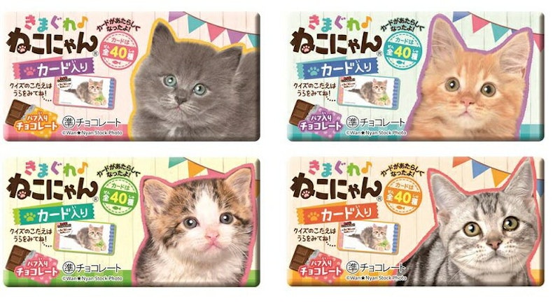 きまぐれねこにゃん 1