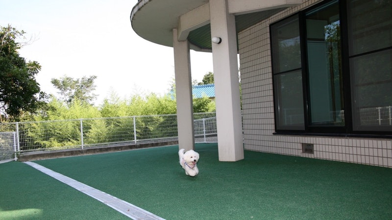 AWAJI Sunset Cottage 1