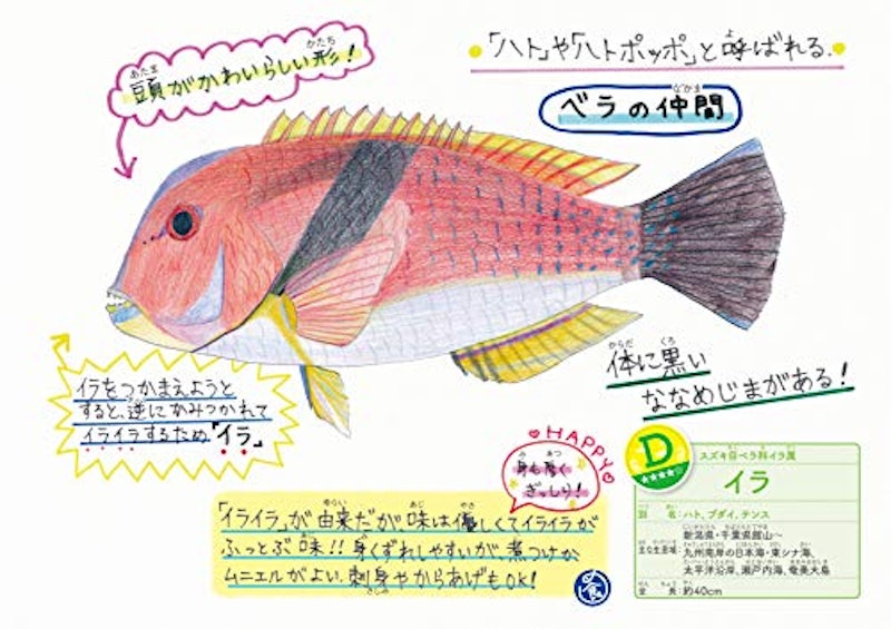 22年 魚図鑑のおすすめ人気ランキング15選 Mybest