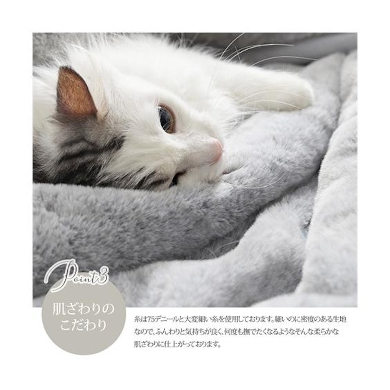 まるで猫!のようなモフモフスタンドカラー着る毛布 6