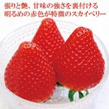 高級いちごのおすすめ人気ランキング【2026年】 3