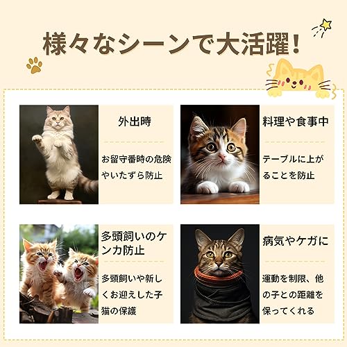 キャットケージ 8