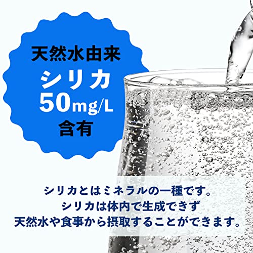 ラベルレス 強炭酸水 レモン 2