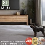 つなぎ目なしのジョイントマットのおすすめ人気ランキング【2026年6月】 3
