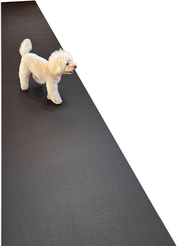 犬用滑り止めマット HOME CHOCO III 1