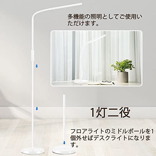 スタンドライト 3