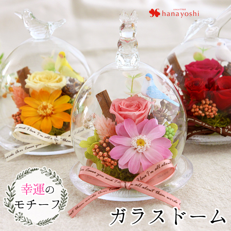 22年 結婚祝い向けフラワーギフトのおすすめ人気ランキング37選 Mybest