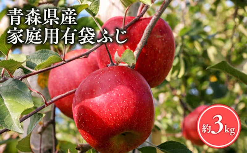 訳あり 家庭用 有袋ふじ 1