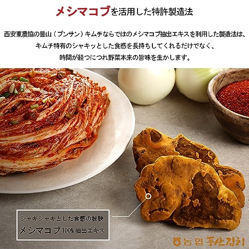 白菜キムチ 14