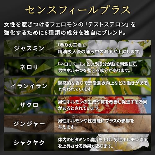 ハーレムラッシュ 5