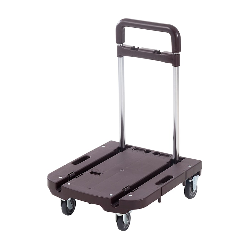 プレミアムコンパクトCarry 1