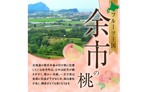 余市産 桃 規格外品 2