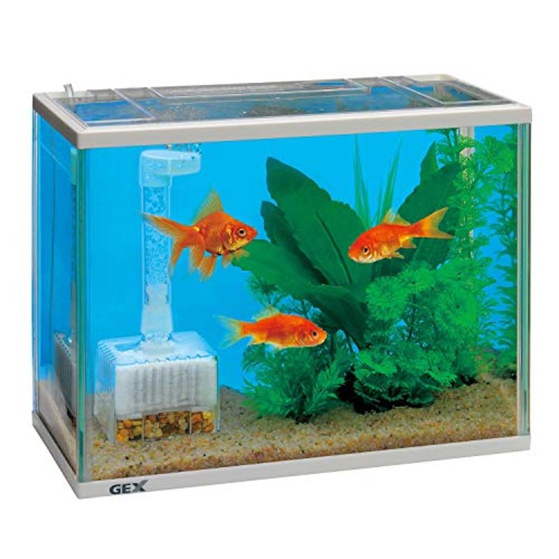 金魚元気水きれいセット 2