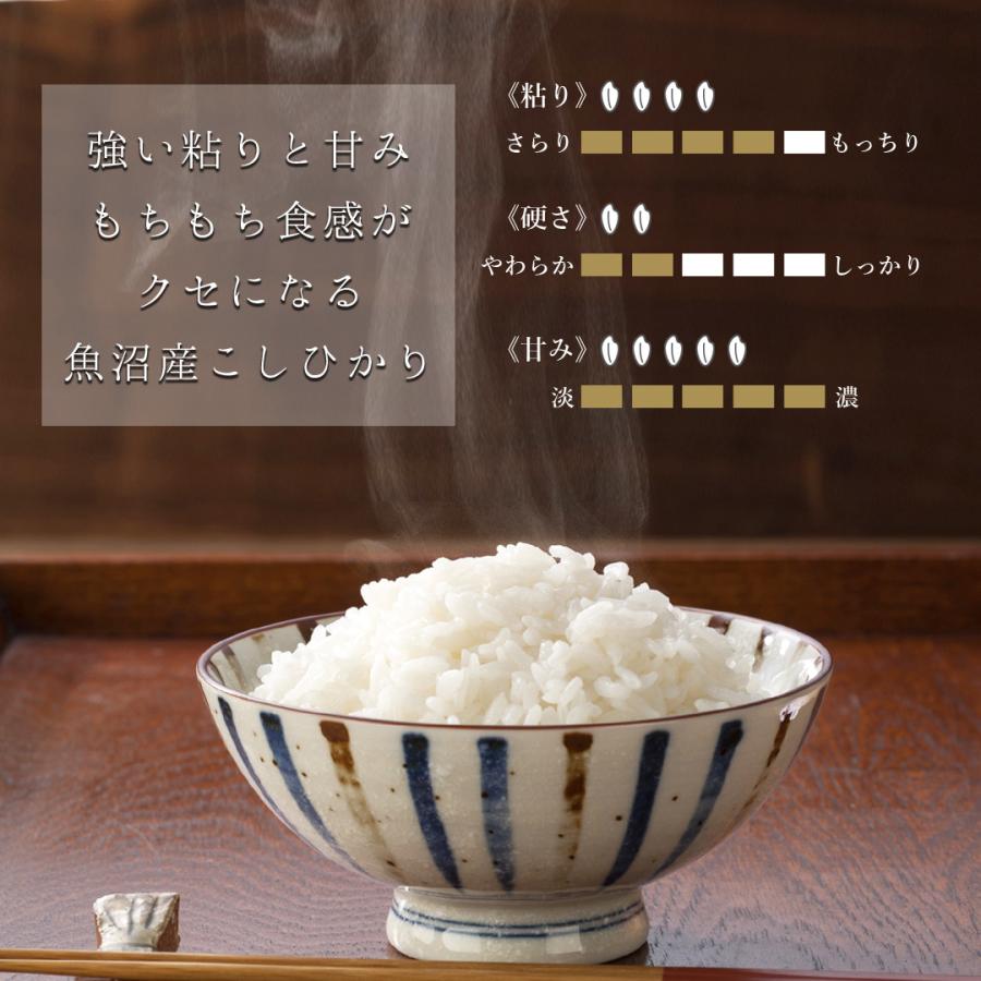 無洗米 魚沼産こしひかり 3