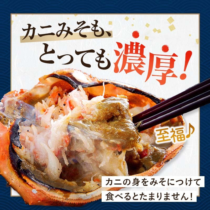北海道噴火湾産活オオズワイガニ（中小サイズ）3kg詰め込みセット 4