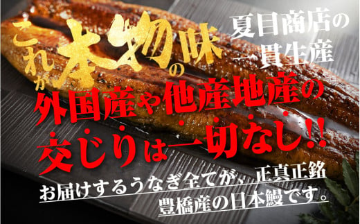 極上 豊橋うなぎ蒲焼 3