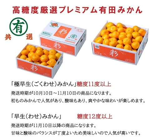 有田みかん 彩 3