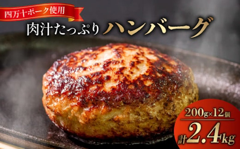 ハンバーグ 四万十ポーク入り 1