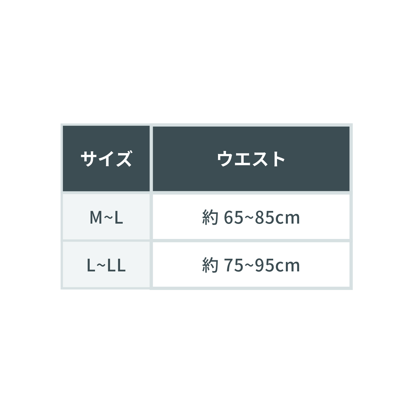 お医者さんのがっちり背すじベルト 7