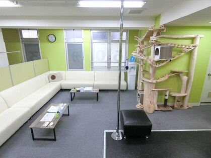 リフレス 足つぼマッサージ 3
