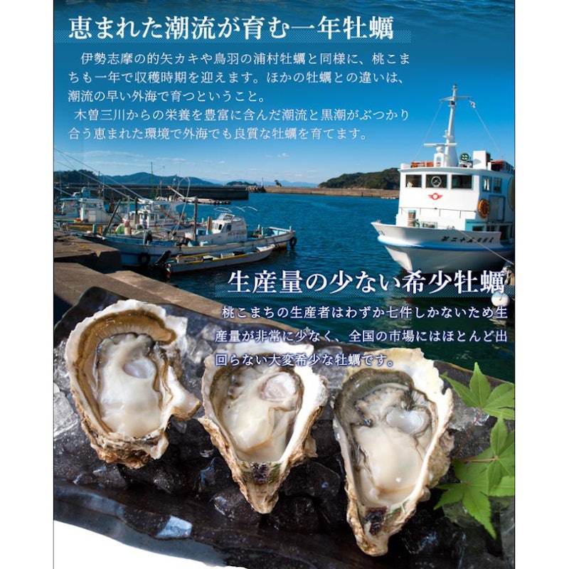桃こまち 冷凍牡蠣 8