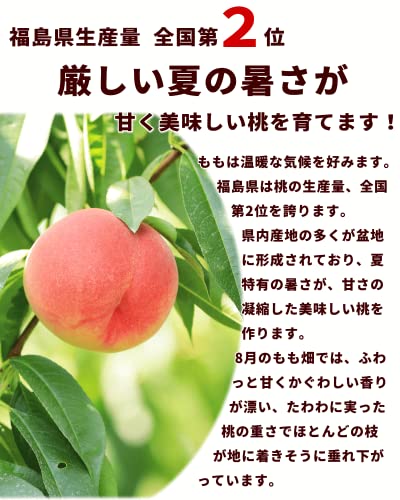 ミスピーチ 3