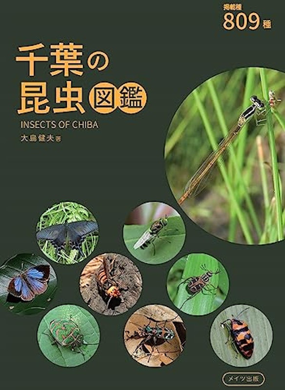 千葉の昆虫図鑑 1