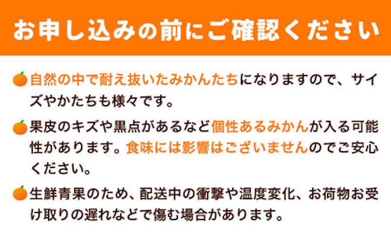 早生みかん 4