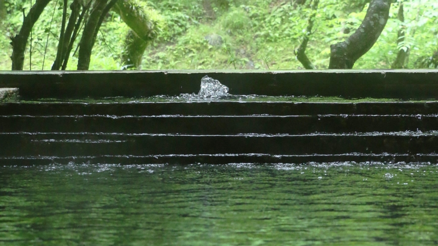 小瀬温泉ホテル 5