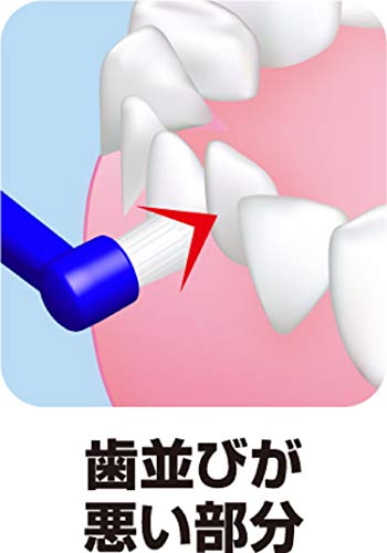 プレミアムケア ポイントブラシ 6