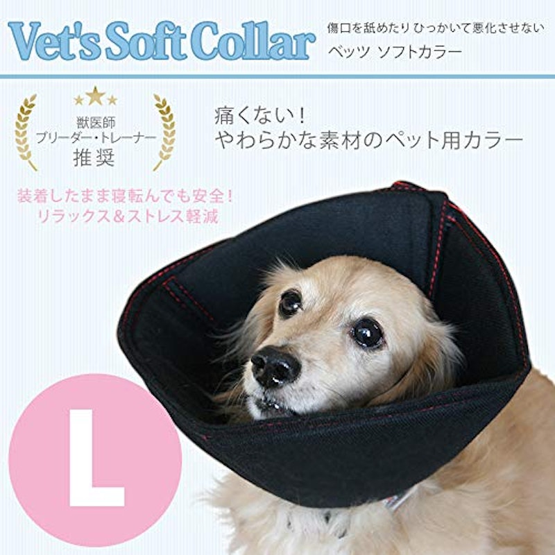 エリザベスカラー 2