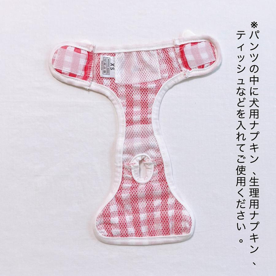 マナーパンツ 6