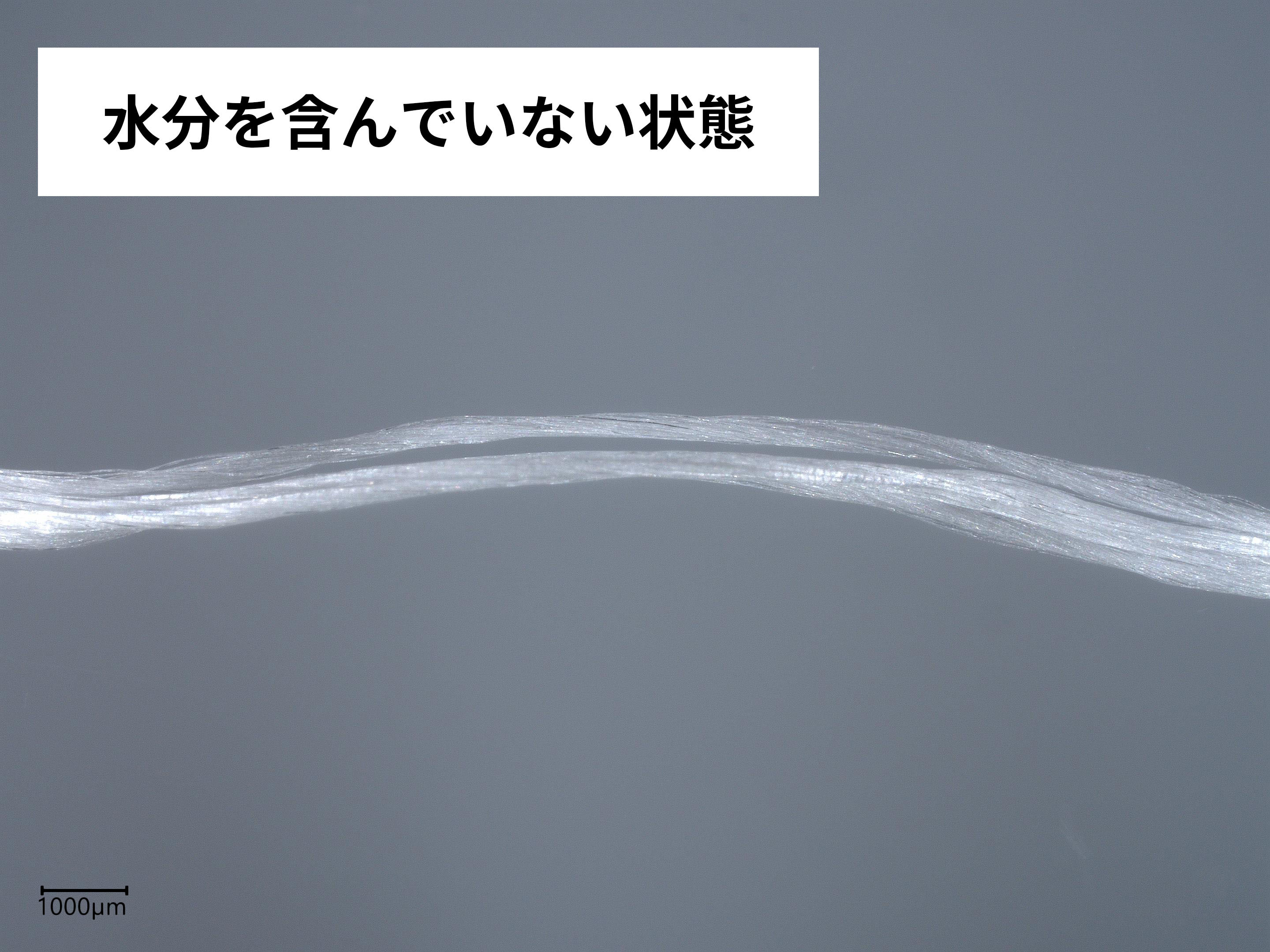 糸ようじ コンパクトヘッドタイプ 3