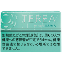 テリア ミント 1