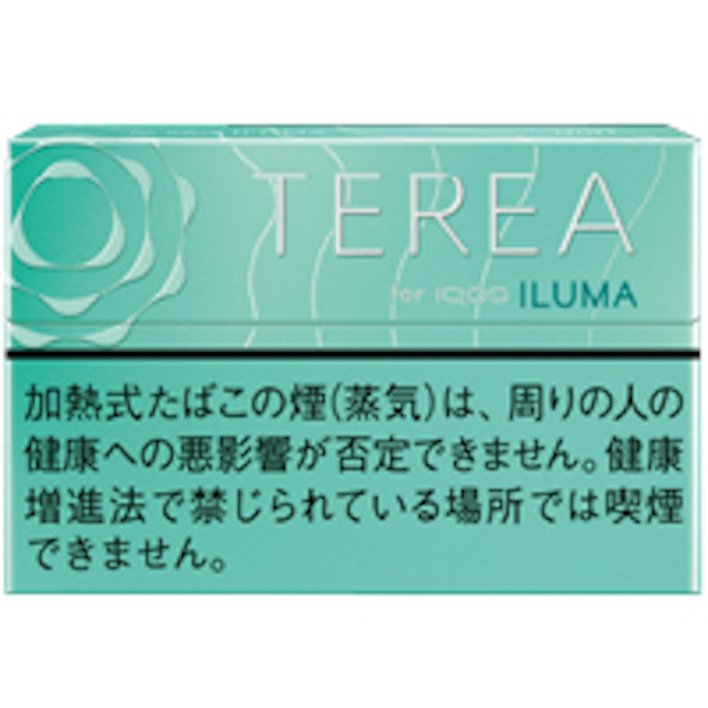 テリア ミント 1