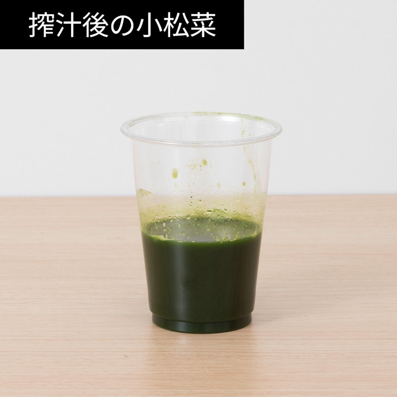 コールドプレスジューサー ミニ 12