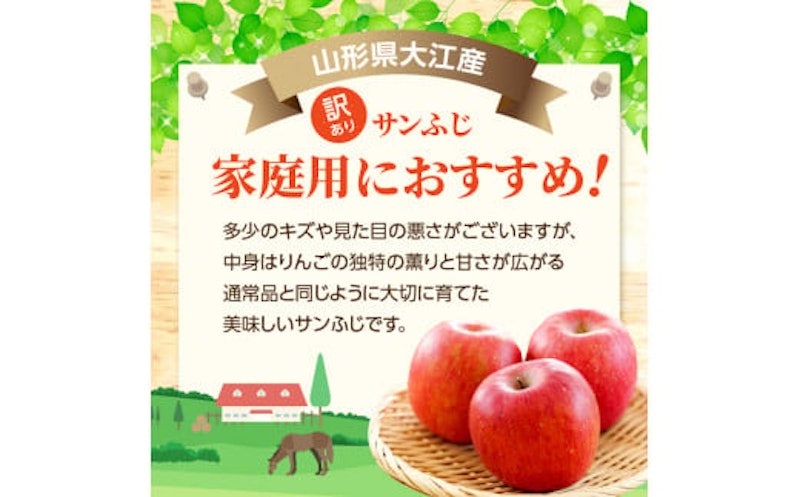 特別栽培 訳あり 家庭用サンふじ 鈴木果樹園 2